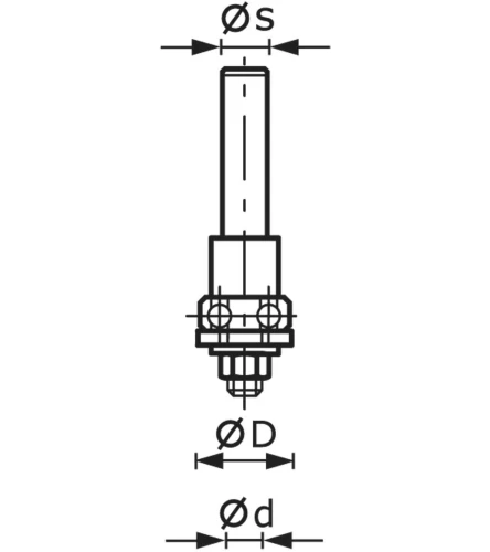 491557.jpg